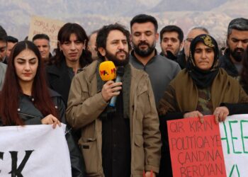 Li qontara Çiyayê Cûdiyê bi hezaran berû çandin