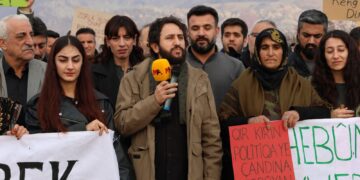 Li qontara Çiyayê Cûdiyê bi hezaran berû çandin