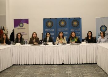 Şaredarîya Amedî rojnamegeranê cinî reyde ameye têhet