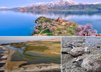 128 çimeyê awe yê Gola Wanî ra tena 38 hebî herikyenê