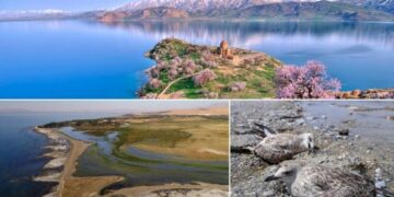 128 çimeyê awe yê Gola Wanî ra tena 38 hebî herikyenê