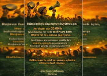 Ji Platforma Saziyên Demokratîk banga çalakiya deng derxistinê