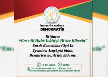 Înîsiyatîfa Yekîtiya Demokratîk li Amedê dicive