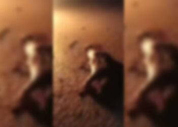 Ji HTŞê dîmenên hovane: Cenazeyên Kurdan şewitandin