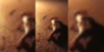 Ji HTŞê dîmenên hovane: Cenazeyên Kurdan şewitandin