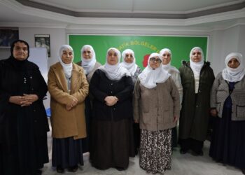 Dayikên Aştiyê yên Îzmîrê: Ji bo em avekê li vî agirî bikin em ê biçin Enqereyê