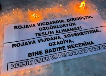  Platformê Ked û Demokrasîyî yê Dêrsimî: Sarê Rojavayî teyna nîyo