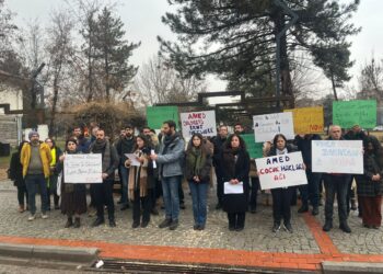 Tora Heqanê Gedeyan: Gedeyî terefgirê şerî nîyê