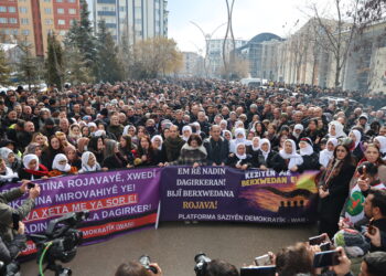 Keskîn Bayindir: Keziyên jinan dê HTŞê jî têk bibe