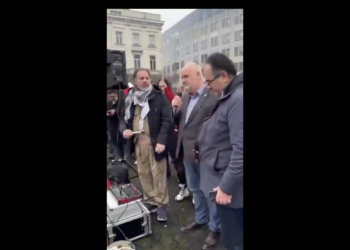 Parlamenterê YEyê Sjostedt: Em dizanin ku hêvî li Rojava ye