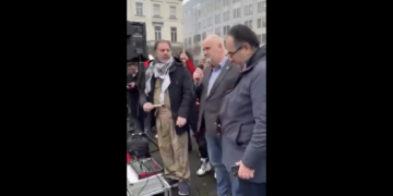 Parlamenterê YEyê Sjostedt: Em dizanin ku hêvî li Rojava ye