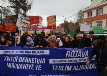 ‘Dixwazin Ocalan bêîtîbar bikin lê nikarin’