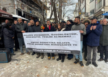 ‘Rojava zereyê Rojhelatê Mîyanênî de çîçege ya’