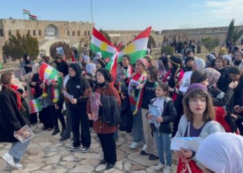 Ji bo piştgiriya Rojava bazinên kesk û sor