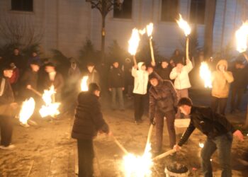 Li Bismilê êrîşên li ser taxên Helebê bi meşaleyan hat şermezarkirin