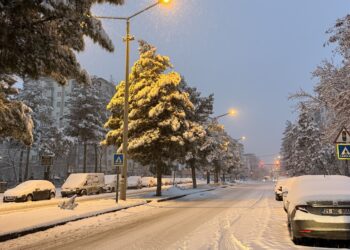 Li Amedê berfek zêde bariya