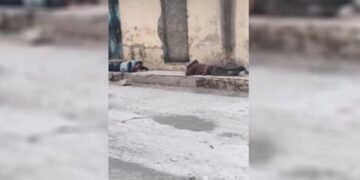 Taxa Benî Zêd hat topbarankirin: 2 kes birîndar bûn