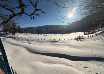 Çewlig emser vewre ra mird nêbeno