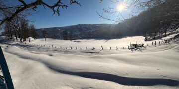 Çewlig emser vewre ra mird nêbeno