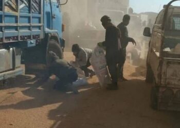 Çeteyê HTŞ’yî na rey zî depoyanê genimî talan kenê!