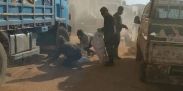 Çeteyê HTŞ’yî na rey zî depoyanê genimî talan kenê!