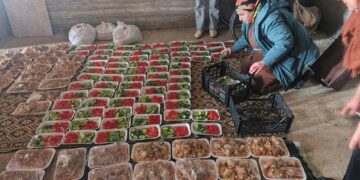 Ji bo koçberan piştgiriya komînal