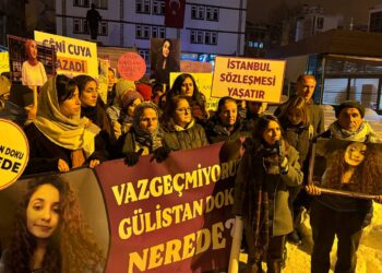  Cinîyê Dêrsimî û keyeyê Gulîstane: Çêneka ma Gulîstane bivînê ma rê bîyarê
