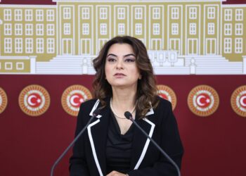 Koçyîgîte: Erjnayîşê Birêz Ocalanî yê derheqê Sûrîye de raşt vejîyayê