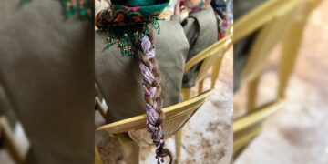 Li çar aliyên Kurdistanê kezî ji bo berxwedanê tên hûnandin