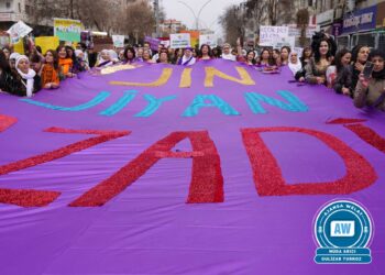 ‘Felsefeya Jin jiyan azadî carek din dinyayê dihejîne’