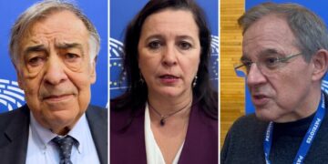 Parlementerê Parlamentoyê Ewropa: Ma şarê kurdî reyde yê