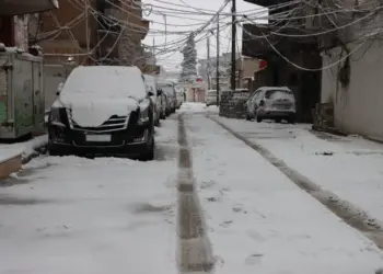 Vewre cuya rojane ya Rojava zehmetêr kerd
