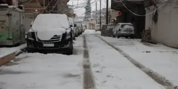 Vewre cuya rojane ya Rojava zehmetêr kerd
