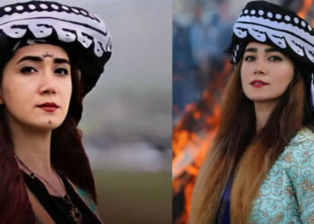 Hunermend Mehsa Zareî li Kirmanşanê hate binçavkirin