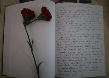 Şagirtên Huseyîn Aykol ji Rojava peyam şandin