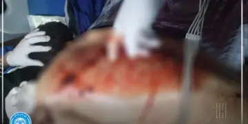 Çekdarên rêveberiya Şamê li Şêxmeqsûdê kesek kuştin