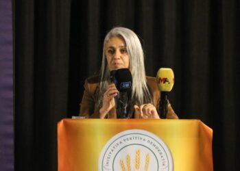 Çîgdem Kiliçgun Uçar: Eke ma yewîya xo awan nêkê do hêriş zêde bibê