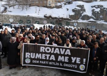 Li Bedlîs û Geverê ji bo Rojava çalakî