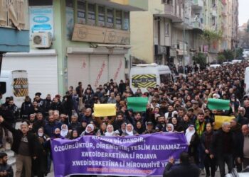 Qoser amadekariya meşa Rojava dike