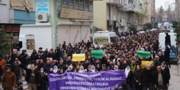 Qoser amadekariya meşa Rojava dike