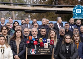 Amedspor bi bertek e: Cezayên hatine birîn li dijî nirxên civakî û hiqûqê ne