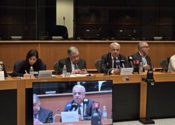 Mîthat Sancar li PEyê axivî: Divê pêvajo derbasî zemîna hiqûqî bibe