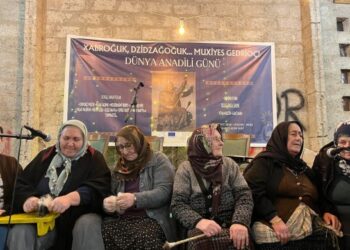 Hopa de çalakîya ziwanê dayike