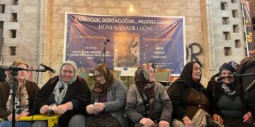 Hopa de çalakîya ziwanê dayike