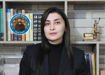 Arîn Mihemed ji bo parastina mafên Kurdan banga avakirina komîteyeke hiqûqê kir