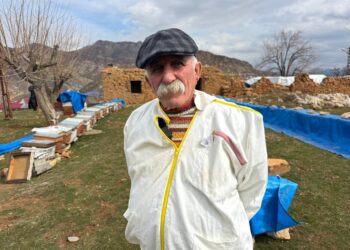 ‘Xozaya xo rê wayîr vejîyê ke, karê sima rind bo’