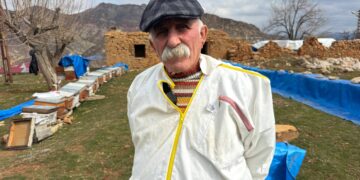 ‘Xozaya xo rê wayîr vejîyê ke, karê sima rind bo’