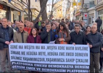 Platformê  Kede û Demokrasî yê Dêrsimî: Wa qanûnan de ca bidîyo ziwanê ma