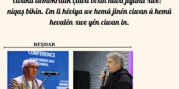 Meclisa ciwanan dê panela ‘Di avakirina civaka demokratîk de rista ciwanan’ pêk bîne