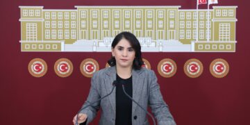 Newroz Uysal Aslan li meclisê bang kir: Ji Kurdî re statu